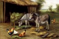 Donkeys And Poultry poultry livestock barn Edgar Hunt